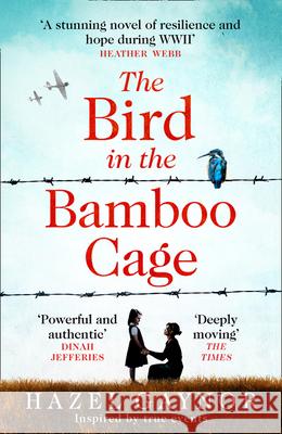 The Bird in the Bamboo Cage Hazel Gaynor 9780008393670 HarperCollins Publishers - książka