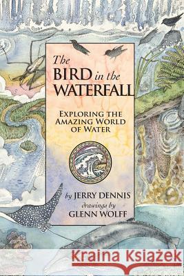 The Bird in the Waterfall: Exploring the Wonders of Water Jerry Dennis Glenn Wolff 9781940941523 Dca, Inc. - książka