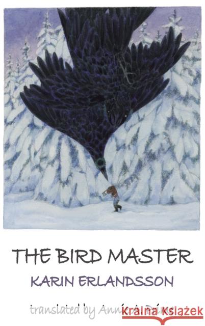 The Bird Master Karin Erlandsson 9781912868742 Dedalus Ltd - książka