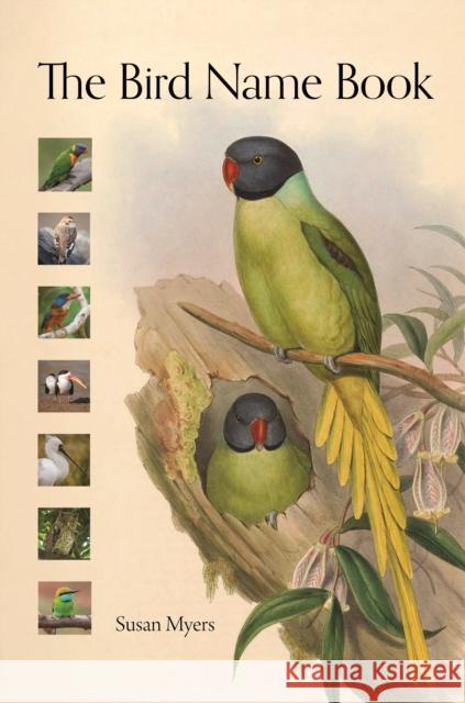 The Bird Name Book: A History of English Bird Names Susan Myers 9780691235691 Princeton University Press - książka