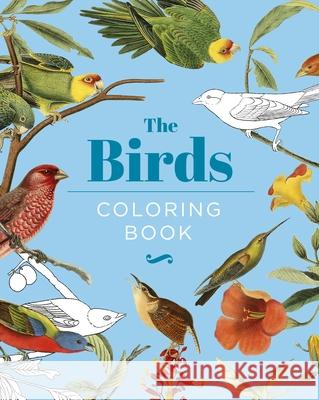 The Birds Coloring Book: Hardback Gift Edition Tansy Willow 9781398826007 Sirius Entertainment - książka