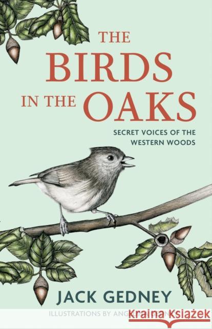 The Birds in the Oaks: Secret Voices of the Western Woods Jack Gedney 9781597146593 Heyday Books - książka