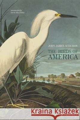 The Birds of America John James Audubon David Allen Sibley 9783791379142 Prestel Publishing - książka