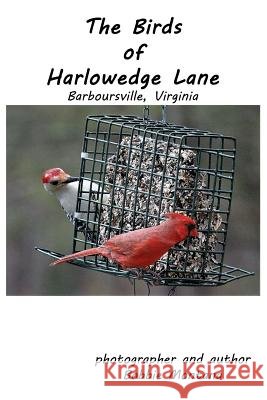 The Birds of Harlowedge Lane: Barboursville, Virginia Bobbie Montana 9781981329595 Createspace Independent Publishing Platform - książka
