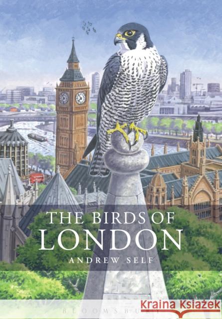 The Birds of London Mr Andrew (Author) Self 9781399430913 Bloomsbury Publishing PLC - książka