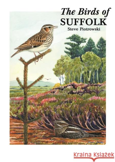 The Birds of Suffolk Steve Piotrowski 9781472961310 Bloomsbury Publishing PLC - książka