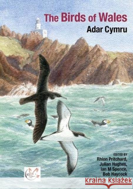 The Birds of Wales Rhion Pritchard Julian Hughes Ian M. Spence 9781800859722 Liverpool University Press - książka