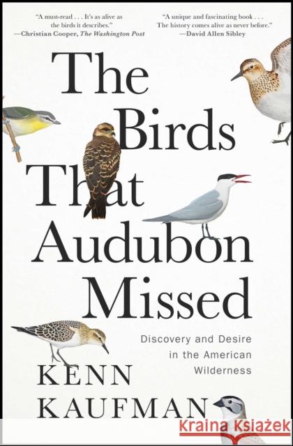 The Birds That Audubon Missed: Discovery and Desire in the American Wilderness Kenn Kaufman 9781668007600 Avid Reader Press / Simon & Schuster - książka