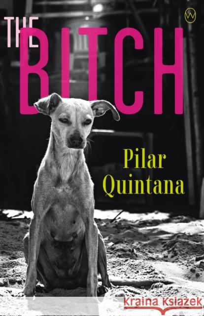 The Bitch Pilar Quintana, Lisa Dillman 9781912987054 World Editions Ltd - książka