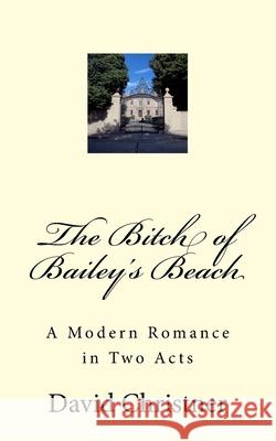 The Bitch of Bailey's Beach David W. Christner 9781537223346 Createspace Independent Publishing Platform - książka