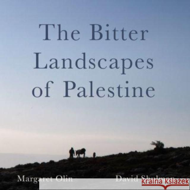 The Bitter Landscapes of Palestine David Shulman 9781789389098 Intellect Books - książka