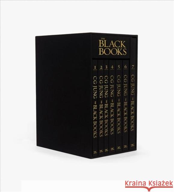 The Black Books C. G. Jung Sonu Shamdasani 9780393088649 WW Norton & Co - książka