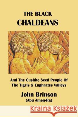 The Black Chaldeans: And The Cushite Seed People Of The Tigris And Euphrates Valleys John Brinson Abu Amen-Ra 9781478788911 Outskirts Press - książka
