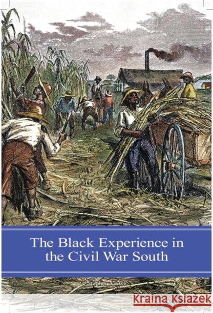 The Black Experience in the Civil War South Stephen V. Ash 9780275985240 Praeger Publishers - książka