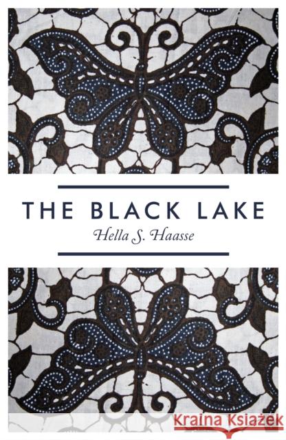 The Black Lake Hella S Haasse 9781846273230 Portobello Books Ltd - książka
