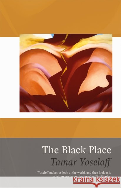 The Black Place Tamar Yoseloff 9781781725597 Poetry Wales Press - książka