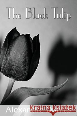 The Black Tulip Alexandre Dumas 9781483705934 Bottom of the Hill Publishing - książka