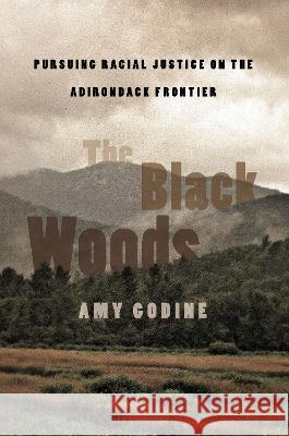 The Black Woods: Pursuing Racial Justice on the Adirondack Frontier Amy Godine 9781501771682 Three Hills - książka