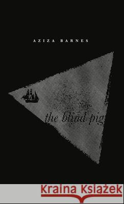 The Blind Pig Aziza Barnes 9781945649325 Not a Cult - książka