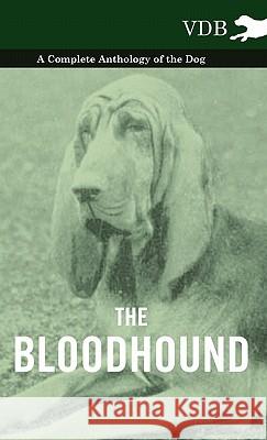 The Bloodhound - A Complete Anthology of the Dog - Various (selected by the Federation of Children's Book Groups) 9781445526966 Read Books - książka