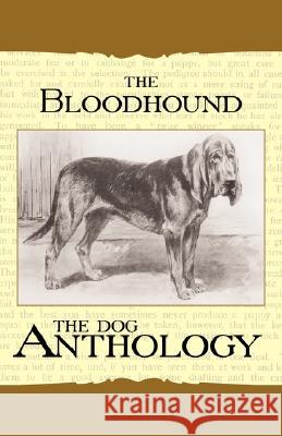 The Bloodhound - A Dog Anthology (a Vintage Dog Books Breed Classic) Various 9781406787771 Vintage Dog Books - książka