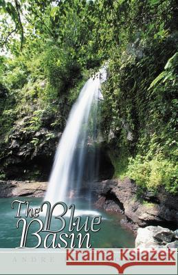 The Blue Basin Andre Paul Goddard 9781475951080 iUniverse - książka
