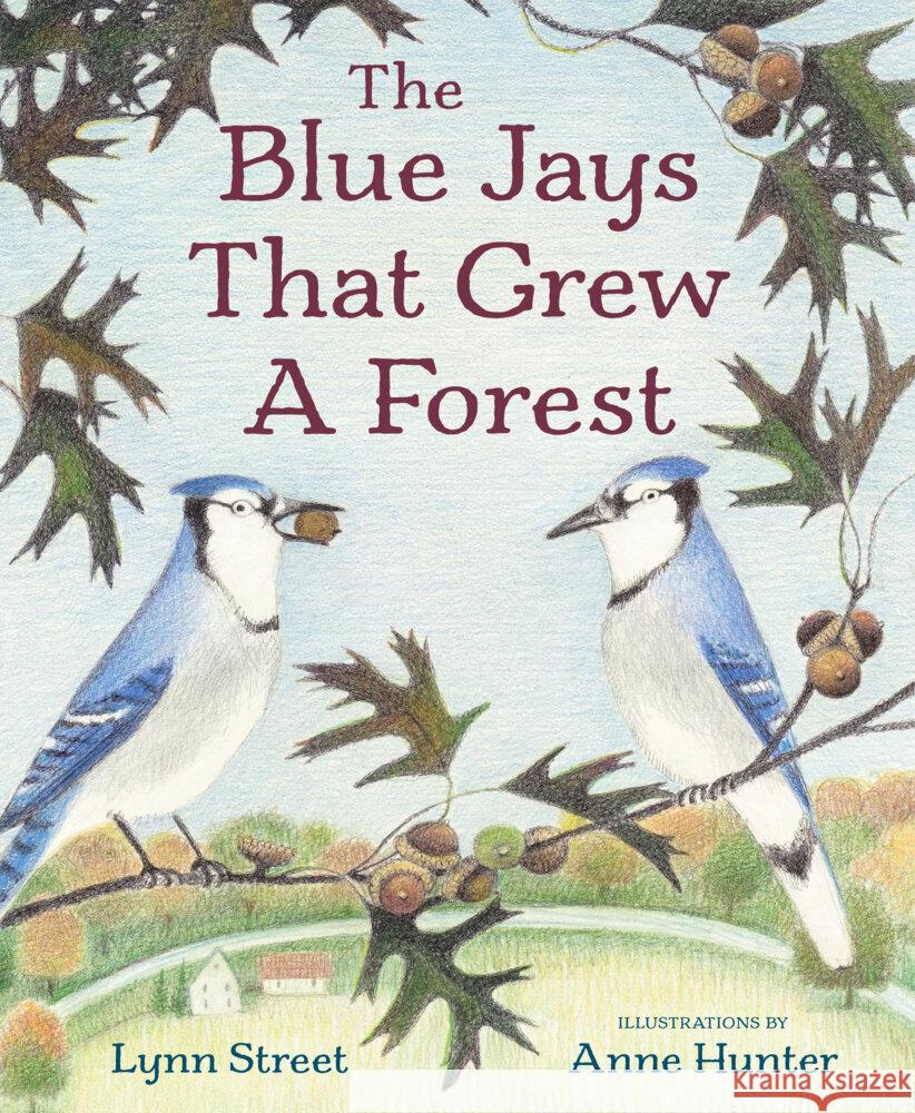 The Blue Jays That Grew a Forest Lynn Street Anne Hunter 9781682636046 Margaret Quinlin Books - książka