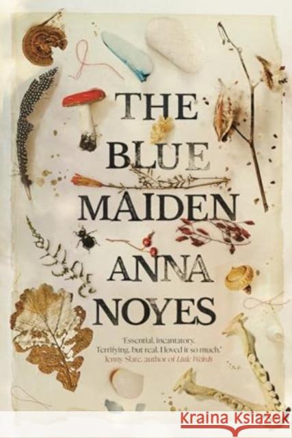 The Blue Maiden Anna Noyes 9781786495815 Atlantic Books - książka