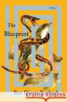 The Blueprint Rae Giana Rashad 9780063330092 Harper - książka