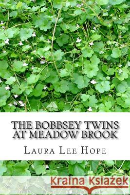 The Bobbsey Twins at Meadow Brook: (Laura Lee Hope Children's Classics Collection) Laura Le 9781503068674 Createspace - książka
