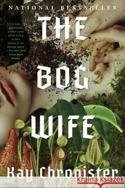The Bog Wife: A Novel  9781640097322 Counterpoint LLC - książka