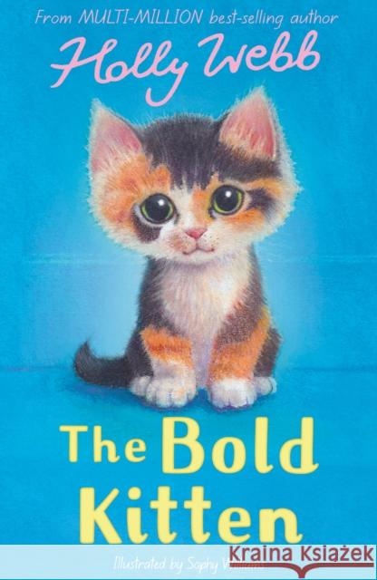 The Bold Kitten Holly Webb 9781788957397 Little Tiger Press Group - książka