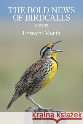 The Bold News of Birdcalls Edward Morin 9781952326707 Kelsay Books - książka