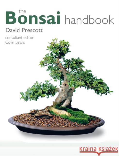 The Bonsai Handbook David Prescott 9781847739308 IMM Lifestyle Books - książka