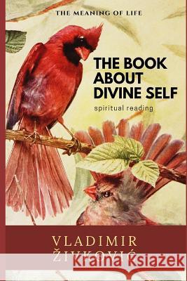 The Book about Divine Self Maja Djolovic Vladimir Zivkovic 9781980942351 Independently Published - książka