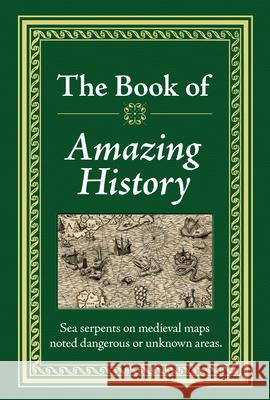 The Book of Amazing History Publications International Ltd 9781450807456 Publications International, Ltd. - książka