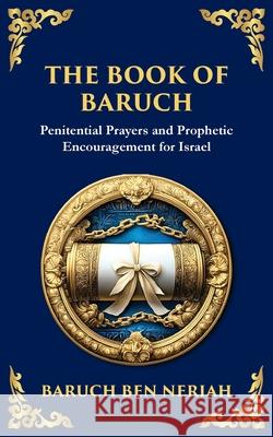 The Book of Baruch: Timeless Lessons of Faith, Hope, and Redemption Baruch Be Tim Zengerink 9781804216019 Library of Alexandria - książka