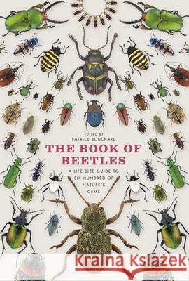 The Book of Beetles: A Life-Size Guide to Six Hundred of Nature's Gems Patrice Bouchard Arthur V. Evans Stephane L 9780226082752 University of Chicago Press - książka