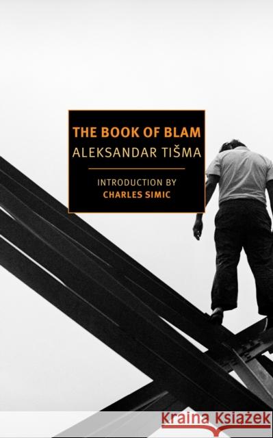 The Book Of Blam Michael Henry Heim 9781590179208 The New York Review of Books, Inc - książka