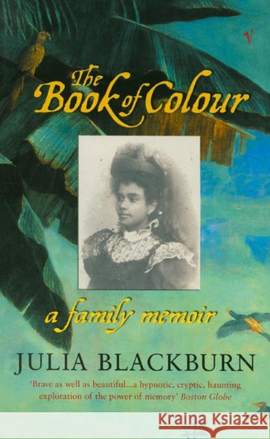 The Book Of Colour : A Family Memoir Julia Blackburn 9780099440734 VINTAGE - książka