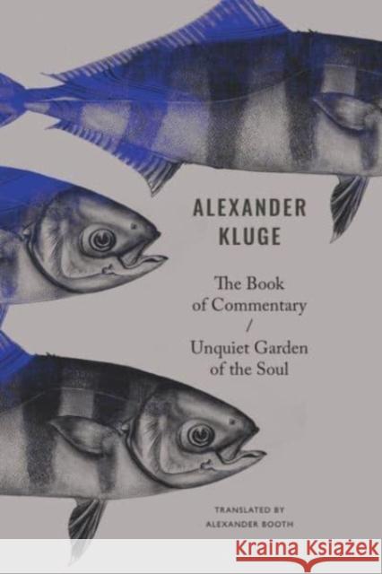 The Book of Commentary / Unquiet Garden of the Soul Alexander Booth 9781803092607 Seagull Books London Ltd - książka