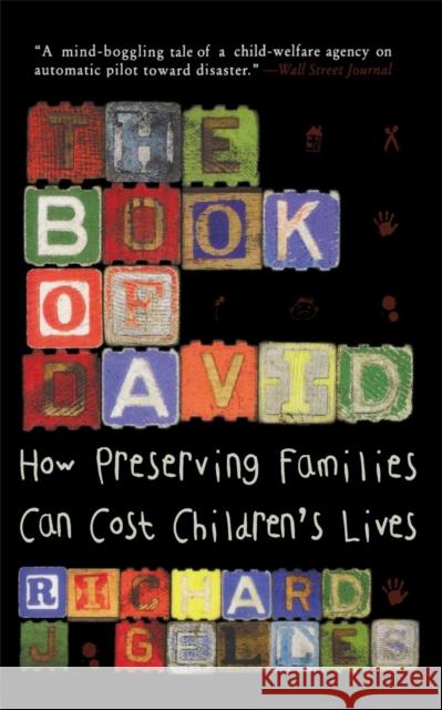 The Book of David: How Preserving Families Can Cost Children's Lives Gelles, Richard J. 9780465053964 Basic Books - książka