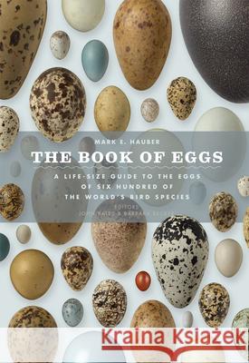 The Book of Eggs: A Lifesize Guide to the Eggs of Six Hundred of the World's Bird Species Mark E. Hauber John Bates Barbara Becker 9780226057781 University of Chicago Press - książka