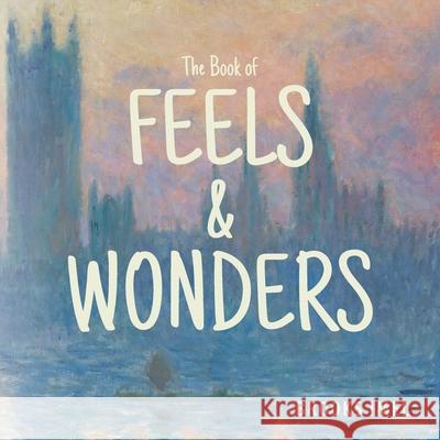 The Book of Feels & Wonders Brooks Imel 9781643884219 Luminare Press - książka