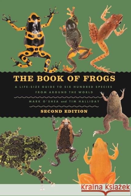 The Book of Frogs: A Life-Size Guide to Six Hundred Species from Around the World Tim Halliday 9780226844268 University of Chicago Press - książka