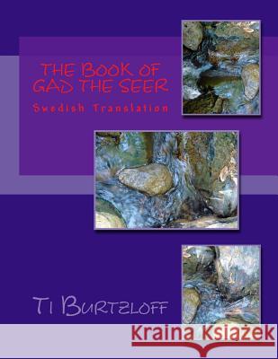 The Book of Gad The Seer: Swedish Translation Burtzloff, Ti 9781511435734 Createspace - książka