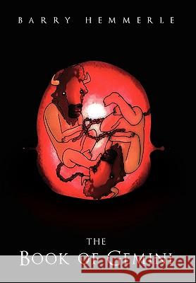 The Book of Gemini Barry Hemmerle 9781453503645 Xlibris - książka