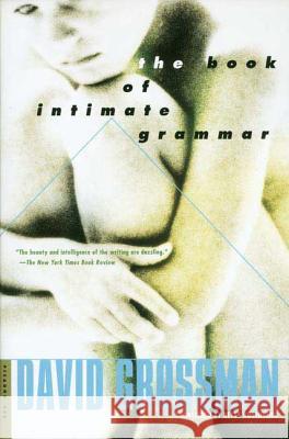 The Book of Intimate Grammar David Grossman Betsy Rosenberg 9780312420956 Picador USA - książka
