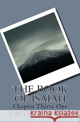 The Book Of Isaiah: Chapter Thirty One Young, Calvin T. 9781518687280 Createspace - książka