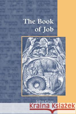 The Book of Job John Gray 9781909697911 Sheffield Phoenix Press Ltd - książka